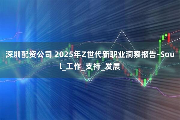 深圳配资公司 2025年Z世代新职业洞察报告-Soul_工作_支持_发展